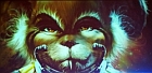 Benutzeravatar